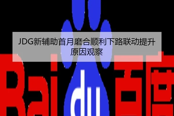 JDG新辅助首月磨合顺利下路联动提升原因观察