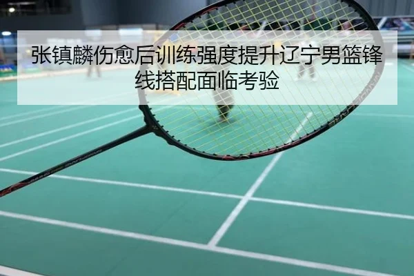 张镇麟伤愈后训练强度提升辽宁男篮锋线搭配面临考验