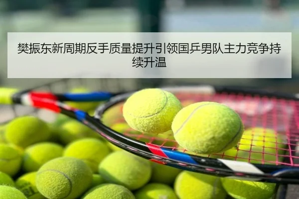 樊振东新周期反手质量提升引领国乒男队主力竞争持续升温