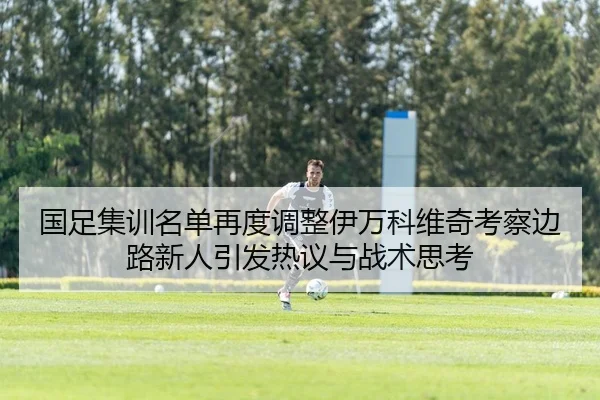 国足集训名单再度调整伊万科维奇考察边路新人引发热议与战术思考